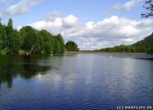 Der Osterteich bei Gernrode im Harz