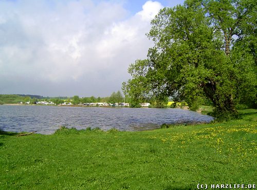 Der Treue Nachbarteich bei Stra&szlig;berg im Harz