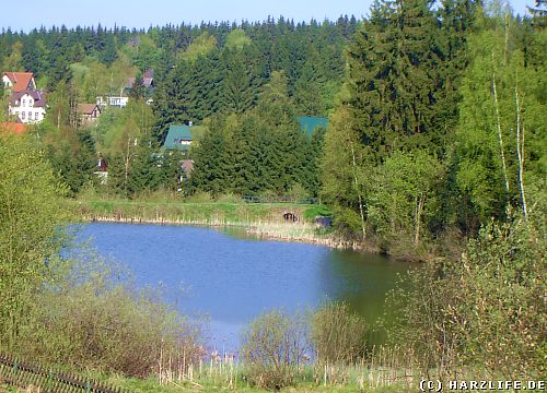 Der Untere Flößteich Unterer Flößteich