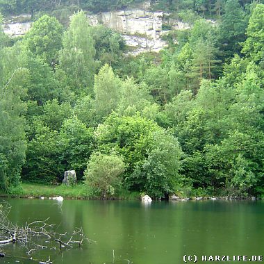 Der Tanzteich