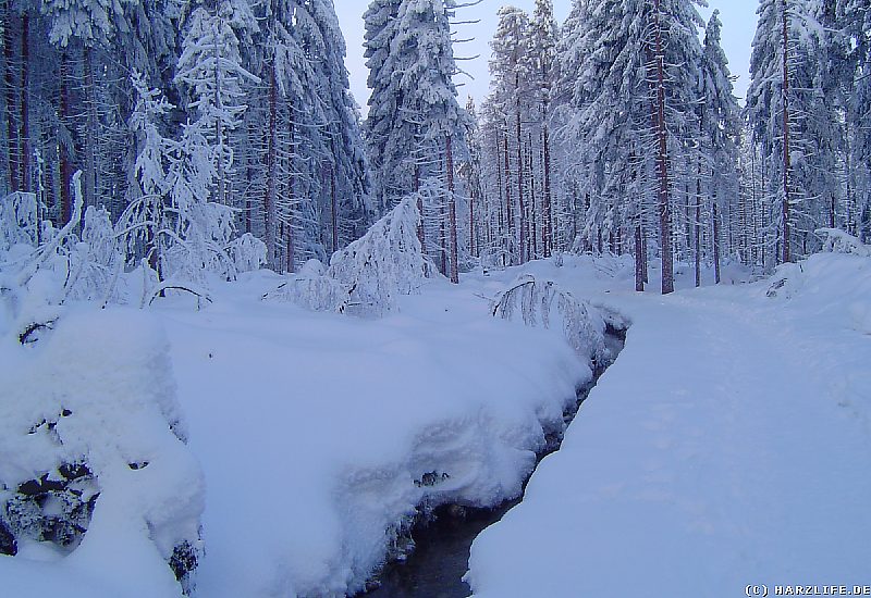 Winter im Harz - Abbegraben und Goetheweg