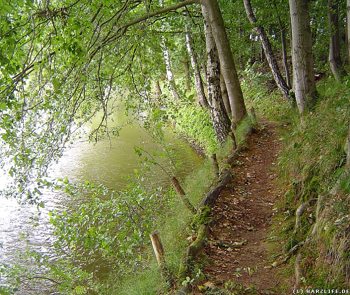 Wanderweg am Opfersee