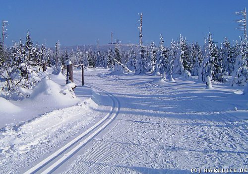 Der Goetheweg im Oberharz