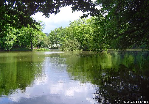 Das Grubenloch bei Liebenrode