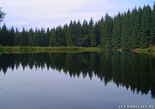 Der Haderbacher Teich bei Buntenbock im Harz