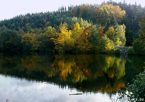 Der Heilige Teich bei Gernrode im Harz