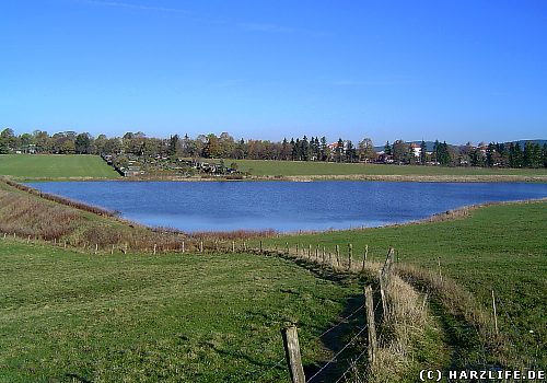 Blick aus Richtung Süden auf den Johann-Friedricher Teich Der Johann-Friedricher Teich