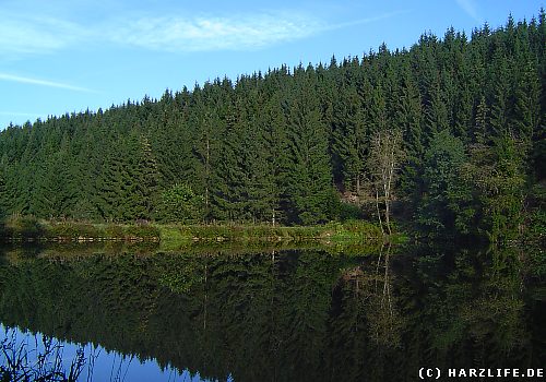 Der KleinClausthaler Teich bei ClausthalZellerfeld im Harz