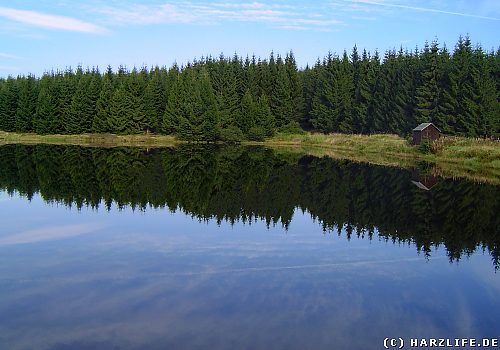 Der Obere Hahnebalzer Teich ein ehemaliger Bergbauteich im Harz