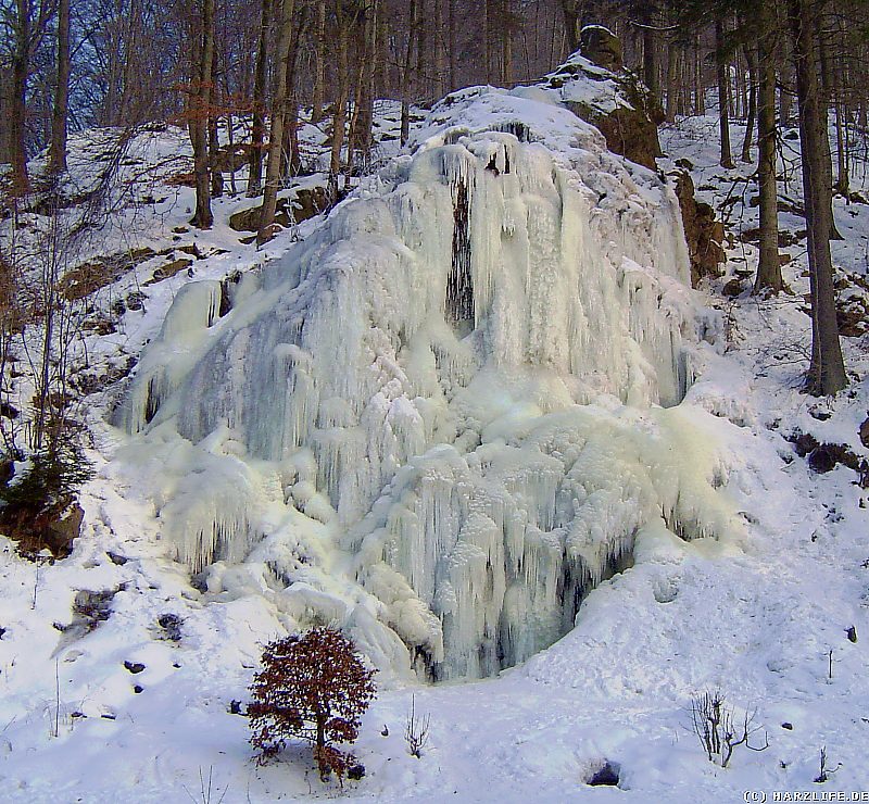 Winter im Harz - Der gefrorene Radau-Wasserfall