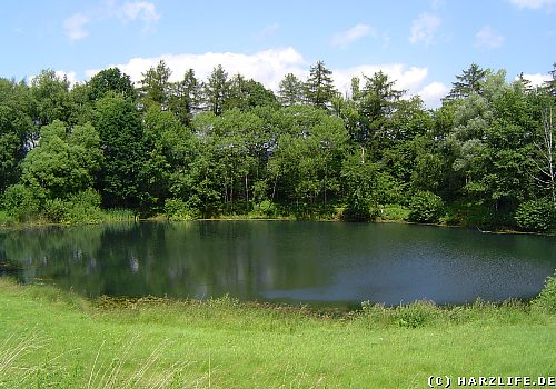 Der Röstesee bei Liebenrode