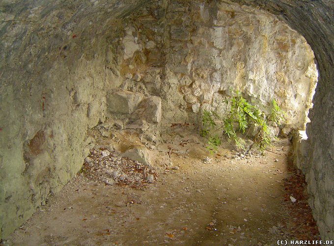 Felsenkammer in der Burgruine Scharzfels