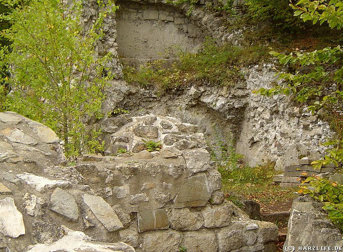 Burgruine Scharzfels - Auf der Oberburg