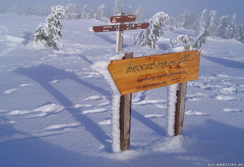 Winter auf dem Brocken