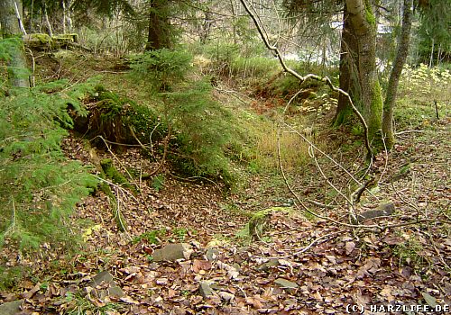 Reste des Stadtweger Grabens nahe des Unteren Kellerhalsteiches