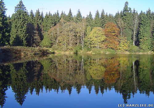 Der Untere Kellerhalsteich im Herbst