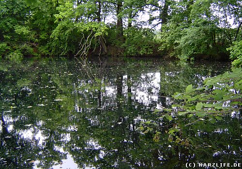 Das Wiedertäuferloch bei Liebenrode