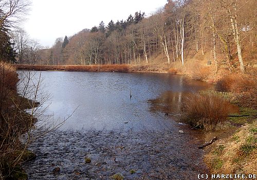 Der Hilfe-Gottes-Teich