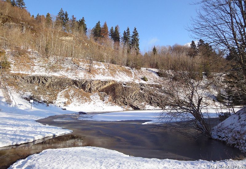 Winter am Blauen See