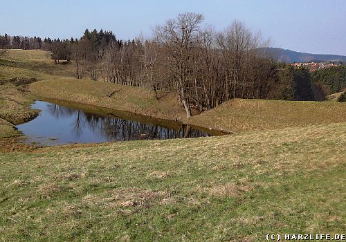 Der Bärener Teich