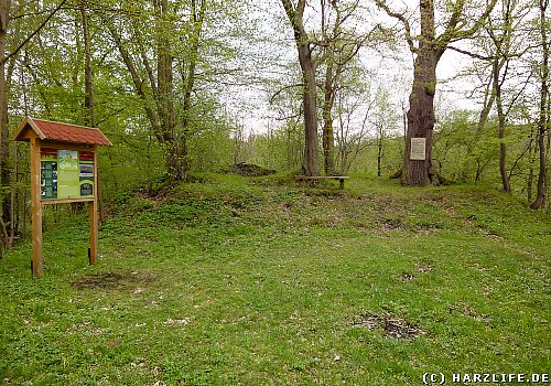 Der Burgplatz auf der einstigen Treseburg