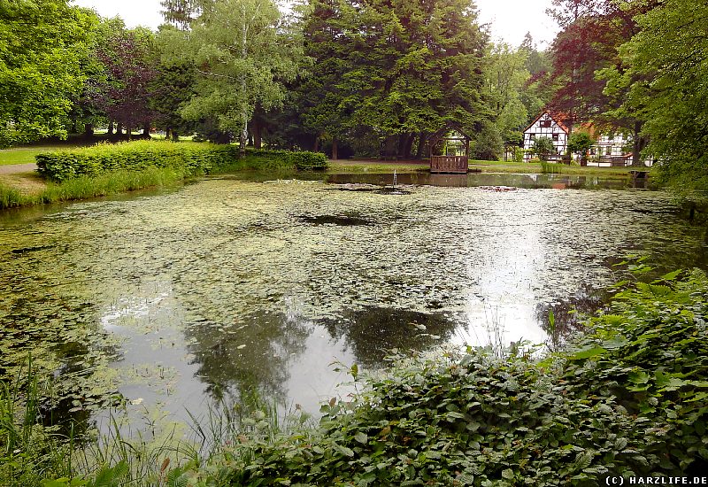 Der Dr.-Kremser-Park in Sülzhayn