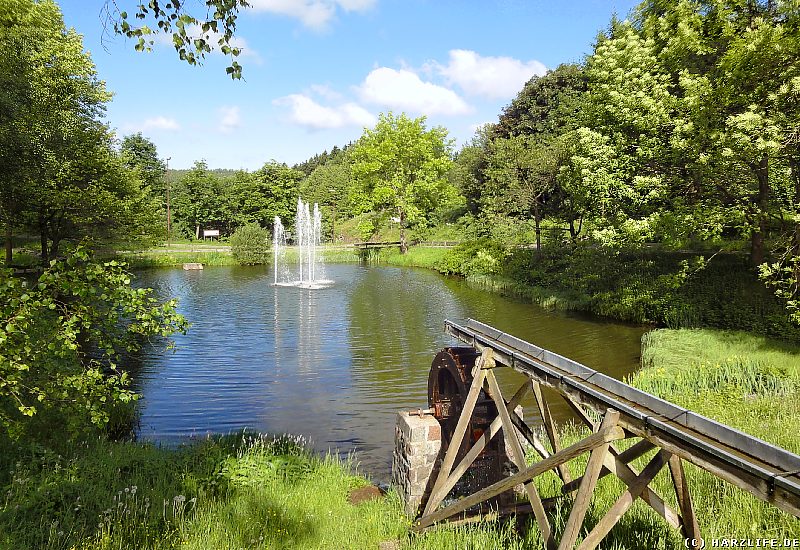 Im Kurpark von Hohegeiß