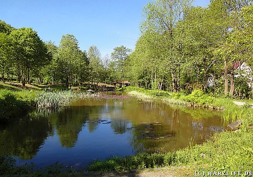 Im Kurpark von Sieber