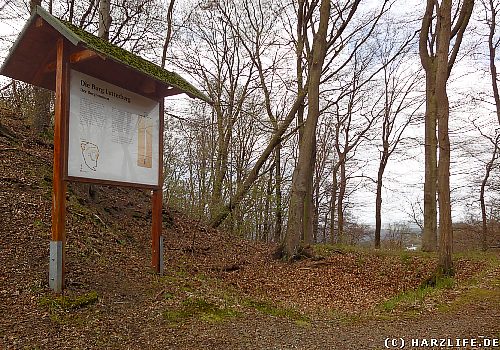 Die Burgruine Lutterberg