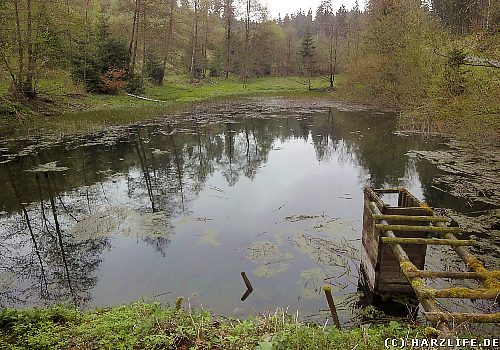 Der Untere Engelsburger Teich