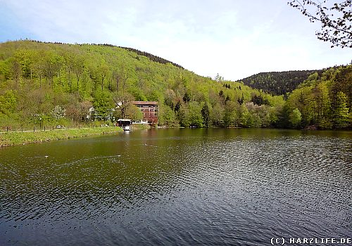 Am Wiesenbeker Teich