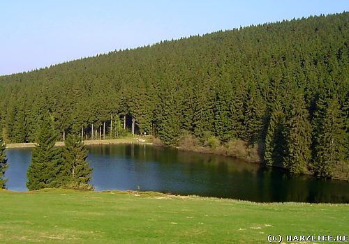 Blick von der Bundesstraße 241 auf den Auerhahner Teich Der Auerhahner Teich bei Bockswiese im Harz