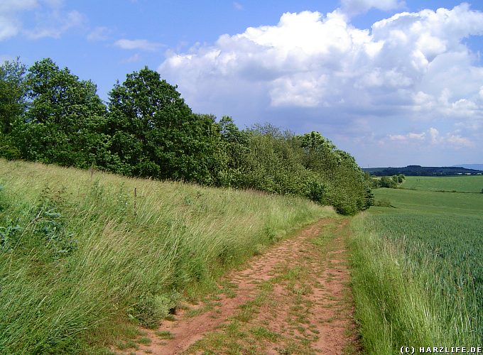 Blick auf das Große Seeloch - ein Erdfallsee bei Hochstedt