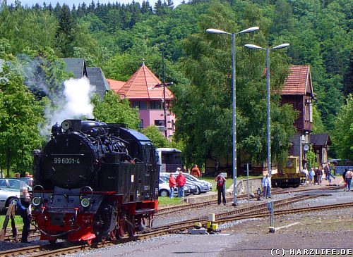 Auf dem Bahnhof in Alexisbad