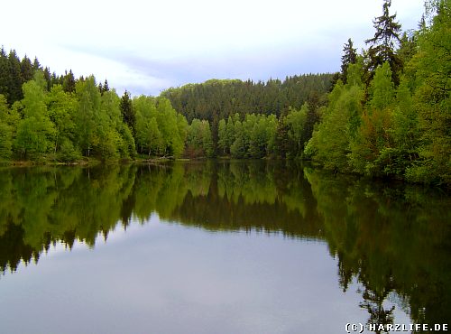 Der Elbingstalteich zwischen Güntersberge und Straßberg im Harz