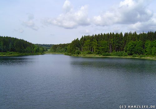 Der Frankenteich bei Straßberg im Harz