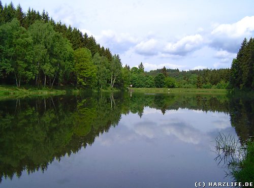 Der Fürstenteich bei Silberhütte im Harz