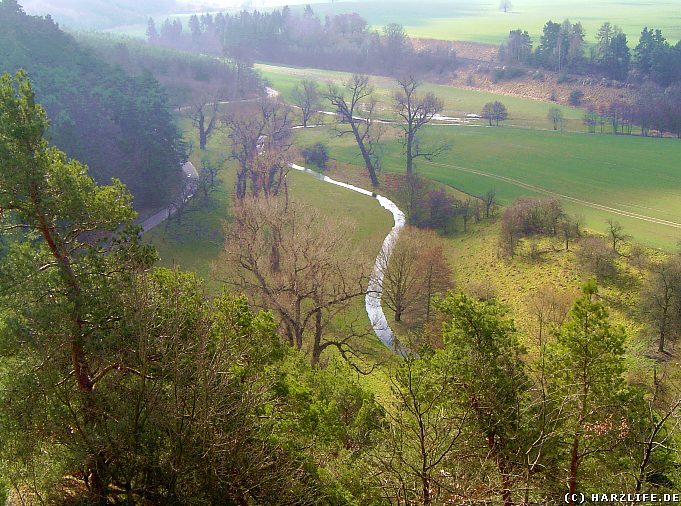 Langenstein - Blick auf den Goldbach