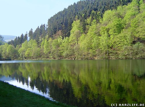 Der Herzberger Teich