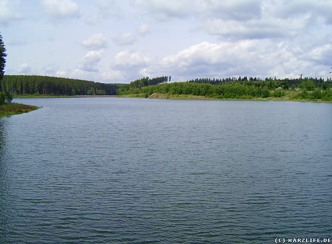 Ausblick über den Kiliansteich