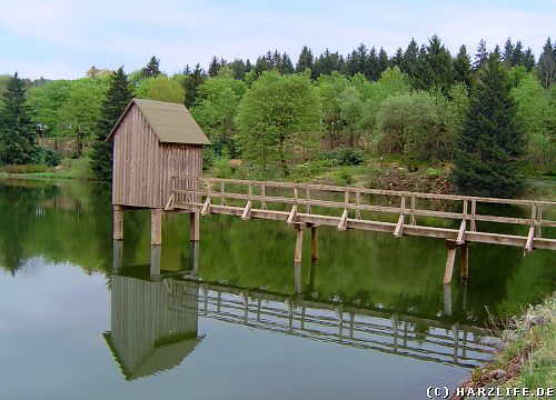 Großer Kranicher Teich mit Striegelhaus