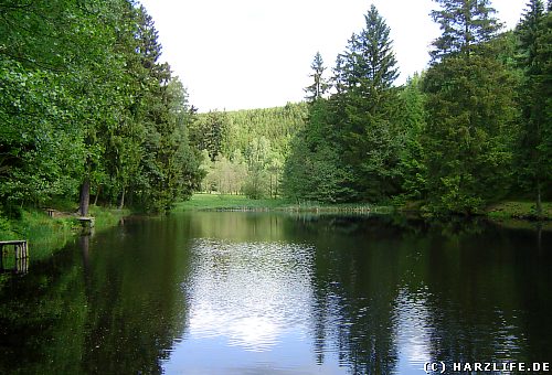 Der Krebsbachteich