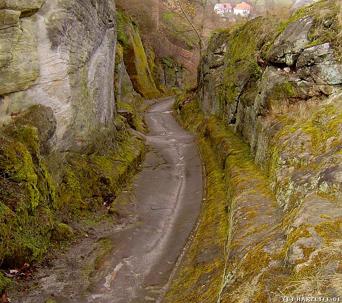 Aufstieg zur Burgruine in Langenstein - Fahrweg mit Spurrillen