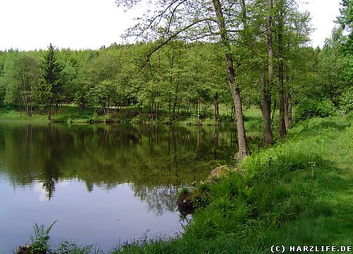 Der Maliniusteich bei Straßberg im Harz