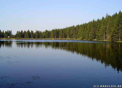 Neuer Grumbacher Teich bei Bockswiese im Harz