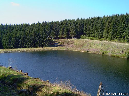 Der Obere Kellerhalsteich im Harz