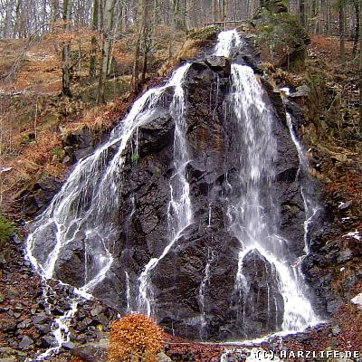 Der Radaufall bei Bad Harzburg