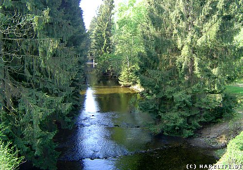 Die Söse unterhalb des Ausgleichsbeckens der Söse-Talsperre