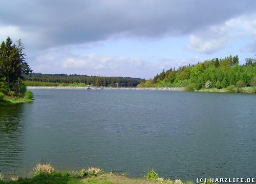 Der Teufelsteich bei Harzgerode im Harz