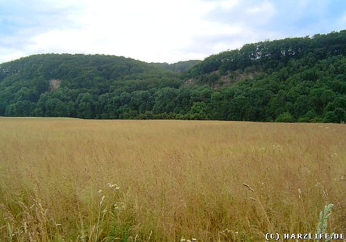 Der Alte Stolberg